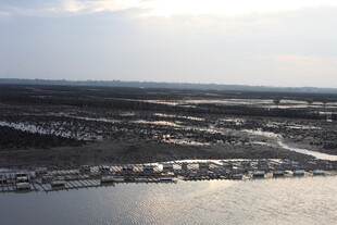 俯瞰广袤大地与水域景观