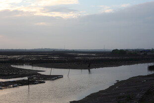 黄昏下的宁静河岸风光