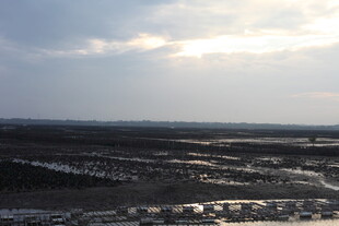 广阔田野上的天空景象