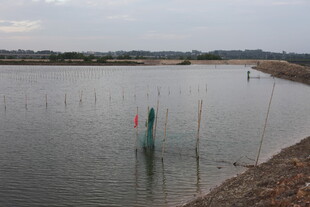 宁静水边的简易渔具场景