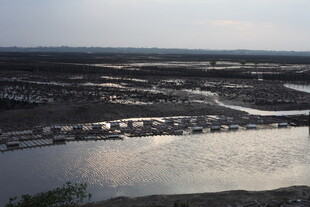 俯瞰河流与沿岸景观