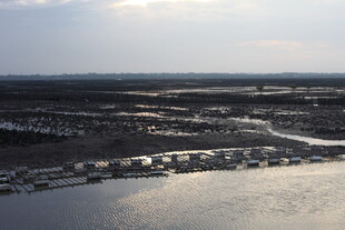 俯瞰水域旁的城市景观