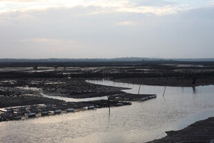 黄昏下的河畔湿地景观