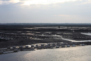 俯瞰水域旁的城市景观