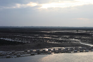 黄昏下的水域与广袤大地