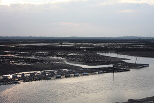 俯瞰河畔城镇景观