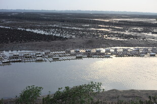 河畔停泊船只的宁静景象