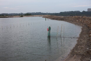 岸边水域中的彩色标识物