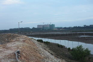 城郊河畔土坡景观