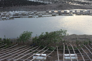 俯瞰水域旁的建筑与绿植