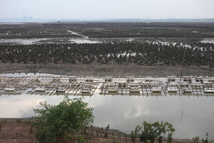 乡村水域边的建筑景观