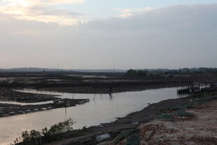 黄昏下的宁静河畔风光