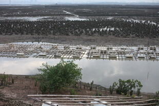 俯瞰宁静湖泊与周边景致