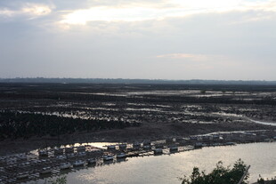 俯瞰水域与岸边景观