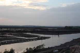 黄昏下的湿地水域景观