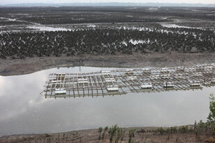 俯瞰水上养殖设施景观
