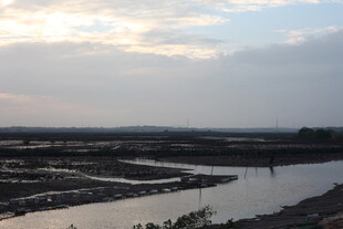 黄昏下的河畔湿地景观