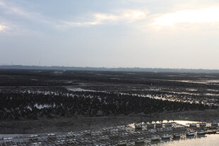 广袤原野上的壮丽天空景观