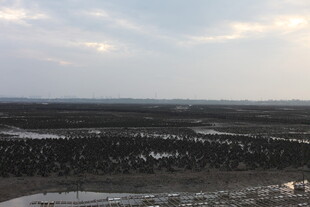 广袤原野的壮丽天际景观