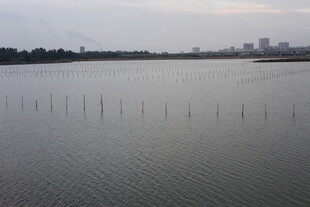 城市边的宽阔水域景观