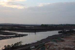 黄昏下的湿地景观