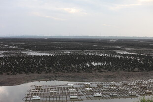 俯瞰广袤开阔的自然景观
