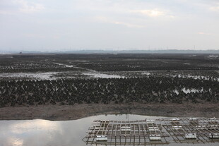 俯瞰水域旁的建筑景观