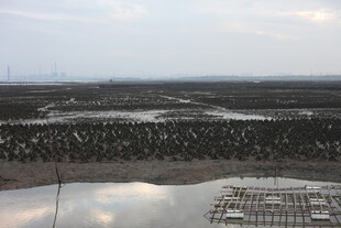 俯瞰广袤农田与水域景观
