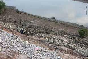 垃圾堆积的荒地场景