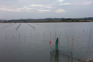 水域中的养殖设施景观