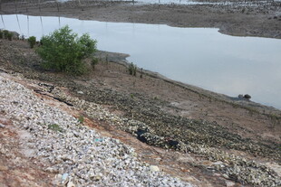 河岸碎石与绿植景观