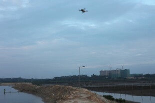 天空中飞翔的鸟与水域景色