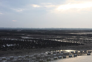 俯瞰广袤田野与天际线
