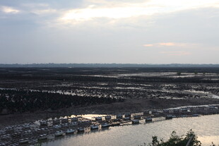 俯瞰城郊湿地景观