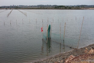 水域中的绿色装置及浮标