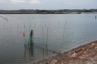 水域中的标识柱场景