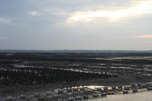 黄昏下的湿地景观