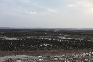 冬日广袤原野景观
