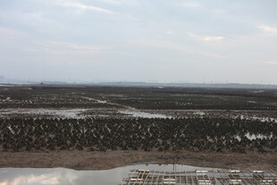 冬日田野俯瞰景观