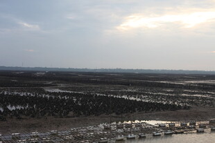 广阔原野上的天际线景观