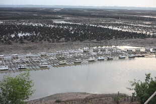 河畔停泊的众多船只景观
