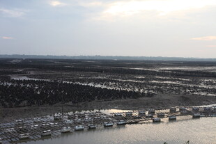 俯瞰水边城镇景观