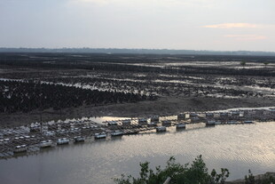 河畔船只与植被景观