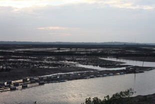 黄昏下的河畔风光