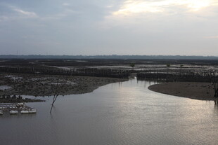 黄昏下的宁静河岸风光