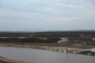 河边开阔地与远处风车景观