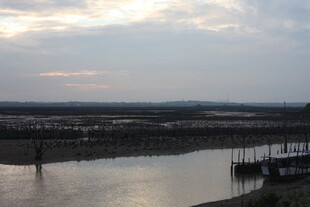 河畔暮色中的宁静景象