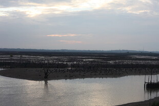 黄昏下的宁静水域风光