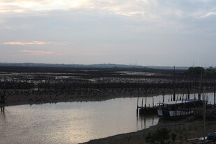 宁静河畔码头景色