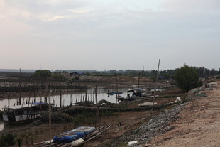 河岸旁的简易搭建场景